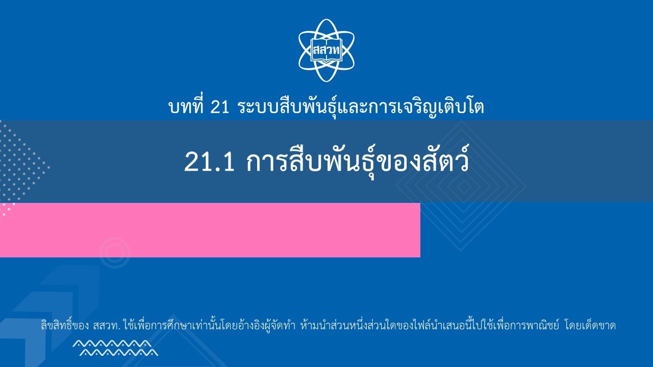 21-1-my-ipst